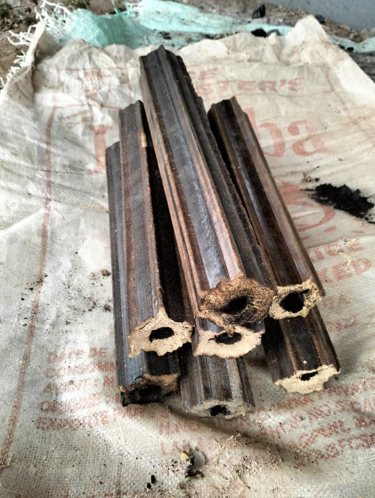 extruded wood forms